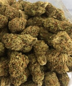 Acheter Cinderella 99