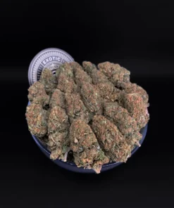 Acheter Cookie Monster