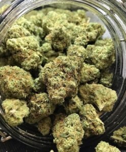 Acheter Blue Dream en lign