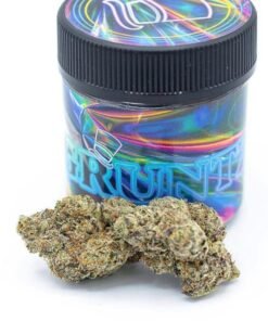 Achetez Gruntz en ligne