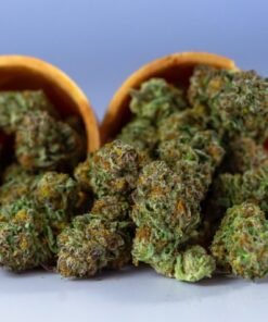 Acheter Gorilla Glue en ligne