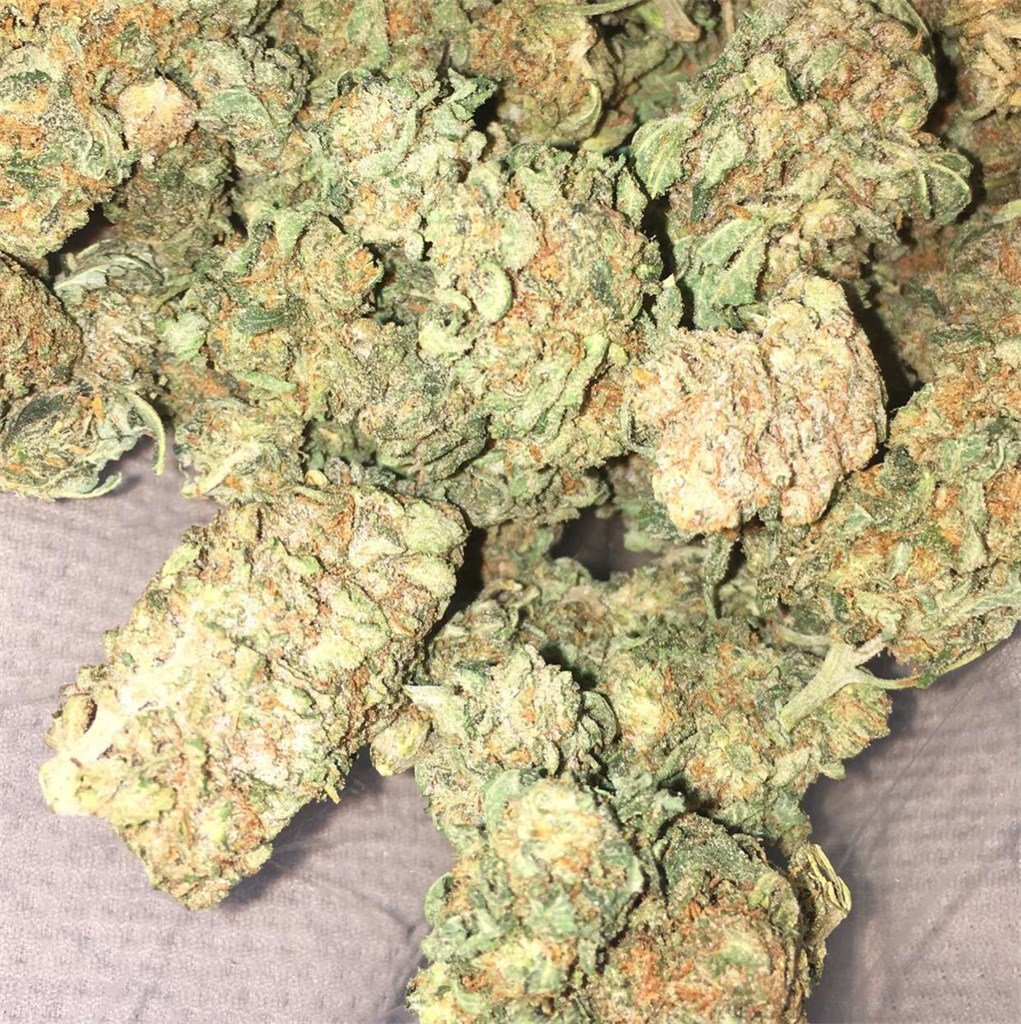 Ghost OG