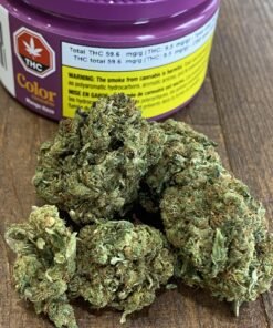 Mango Haze Cbd